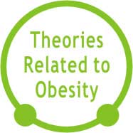 Theories Related to Obesity